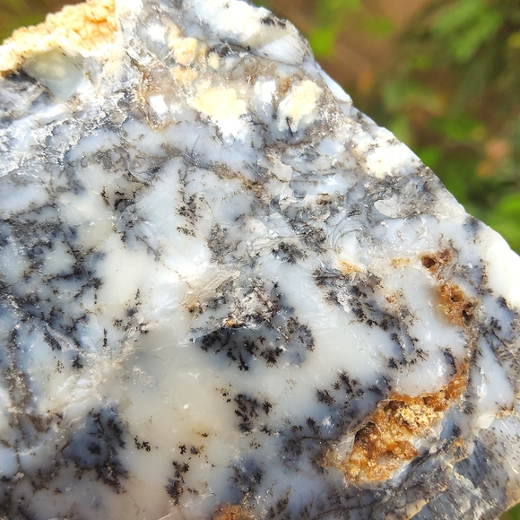 Semi Polished Beautiful Dendritic Opal Slab - Picture 11 of 17